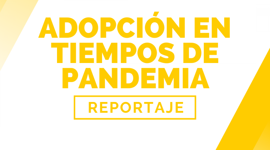 Foto de artículo