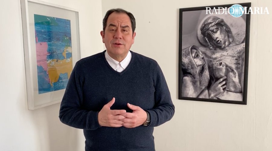 Foto de artículo