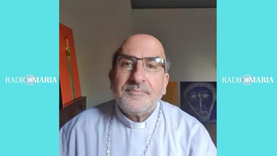 Foto de artículo