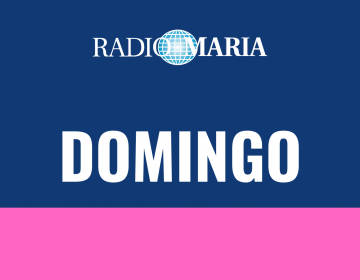 Foto noticia