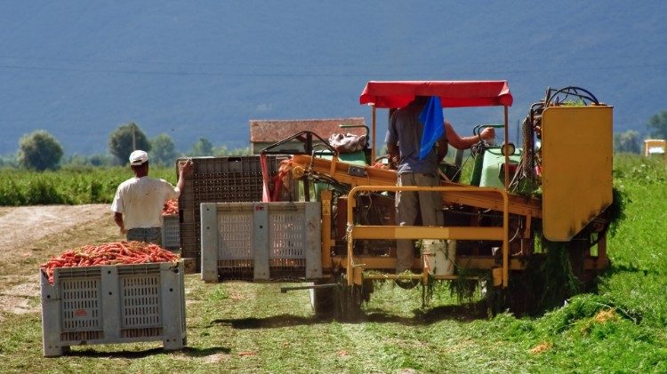 Foto de artículo