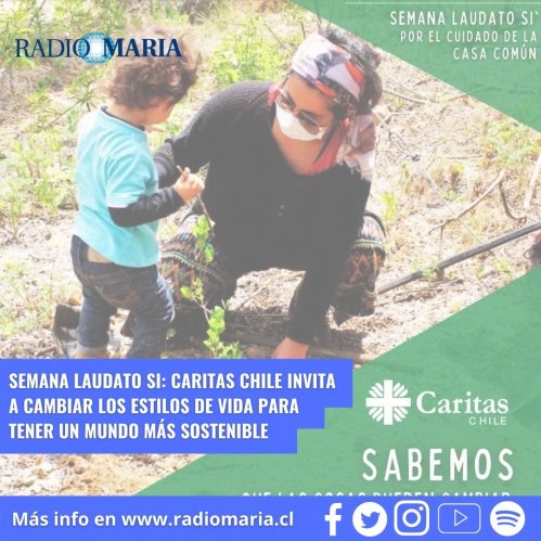 Foto de artículo