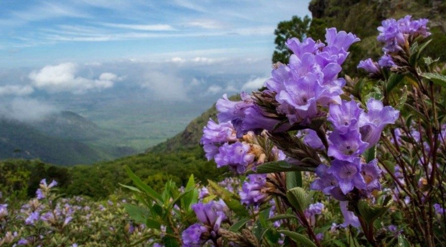 Foto de artículo