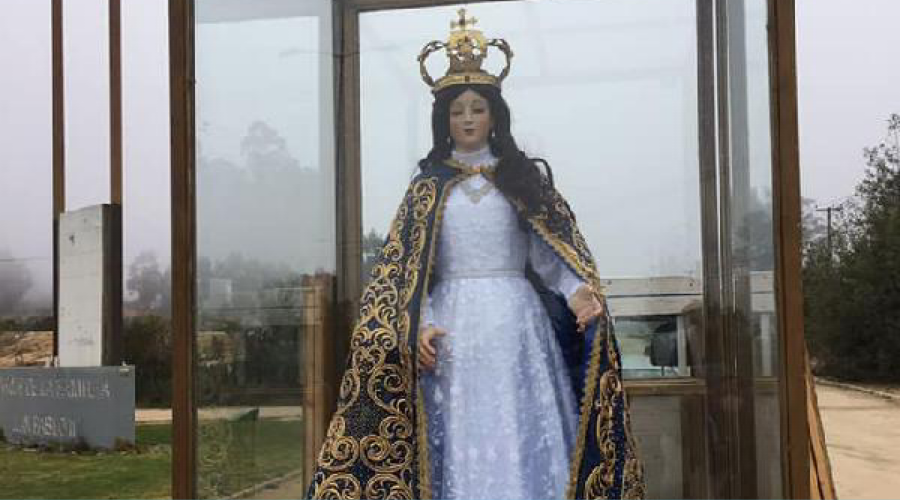 Foto de artículo