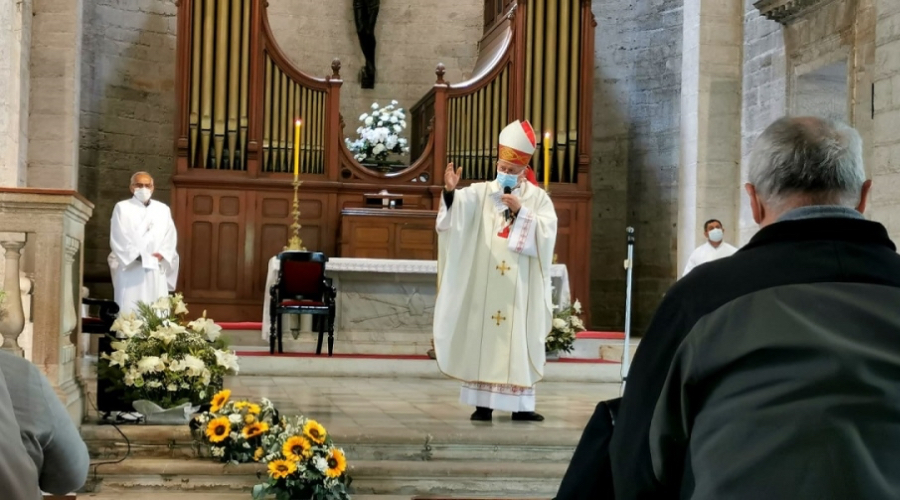 Foto de artículo
