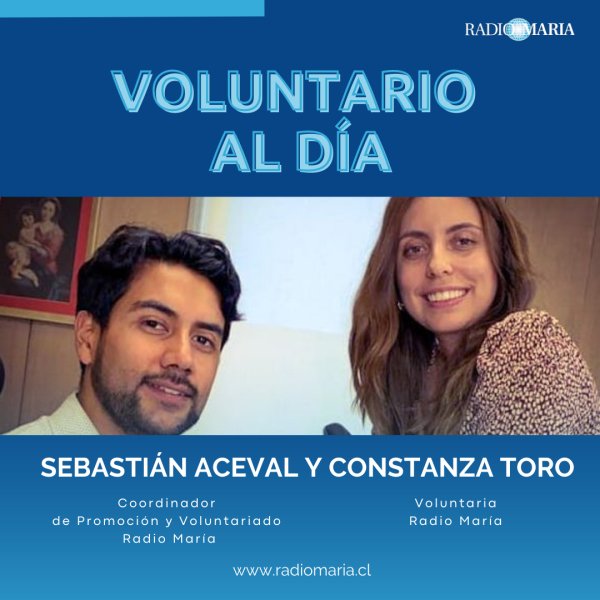 RT Voluntario al Día